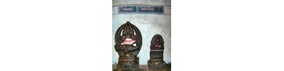234. திருப்புறவார் பனங்காட்டூர்